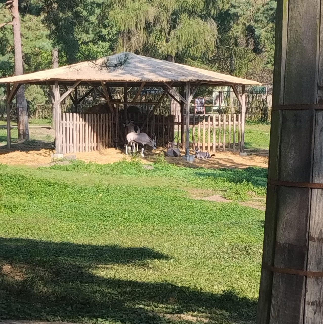 ZOO Olomouc 🗺️