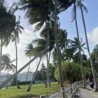 How to spend 17 days in Pointe A Pitre