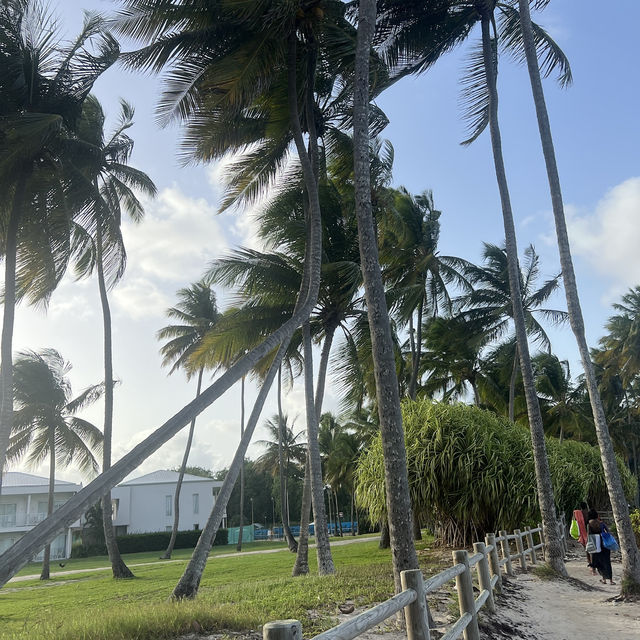 How to spend 17 days in Pointe A Pitre