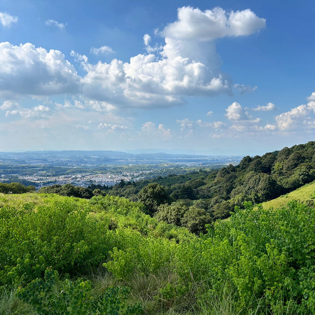 A must-visit to Mount Wakakusa in Japan! ⛰️ 