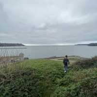 Love Plymouth 