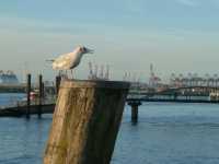 Hamburg at its best 