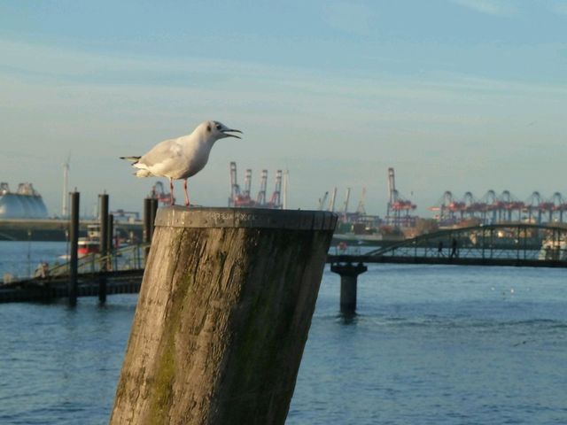 Hamburg at its best 