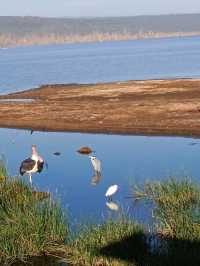 Lake Nakuru National Park, Kenya