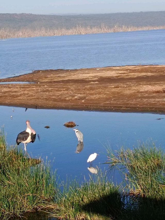 Lake Nakuru National Park, Kenya