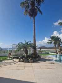 1 Day Itinerary in Tenerife Island