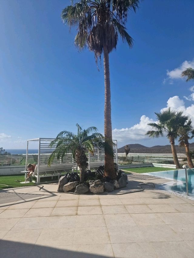 1 Day Itinerary in Tenerife Island