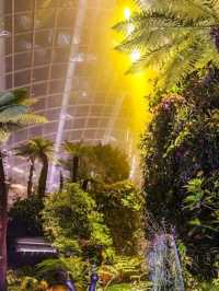 Singapore Cloud Forest: Stepping into another natural planet!