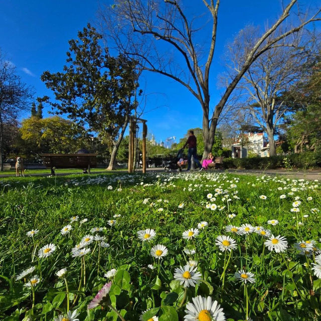 Spring in Lisbon 🗺️
