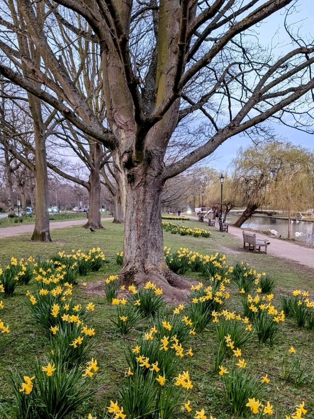 Morning visit at Bedford 