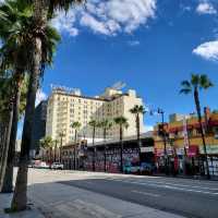 Stroll Among the Stars: The Walk of Fame in LA! ⭐️🎬