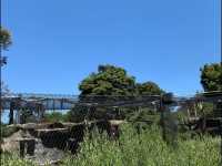 The Melbourne Zoo