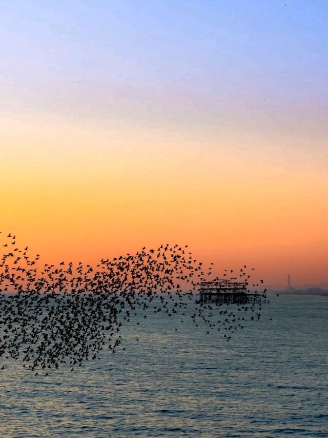 🌊 Discover the Charm of Brighton Beach 🏖️
