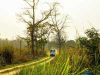 Chitwan National Park