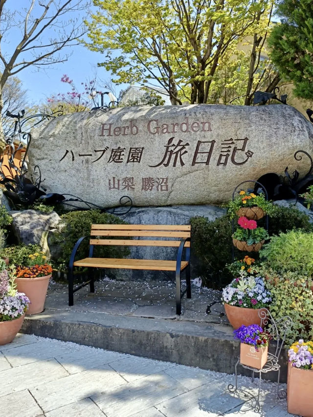 Spring at Katsunuma Garden – A Free Floral Escape