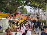 Kanazawa Escape: Blossoms, Kimonos, and Timeless Charm