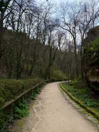 Explorer’s Path to the Castle