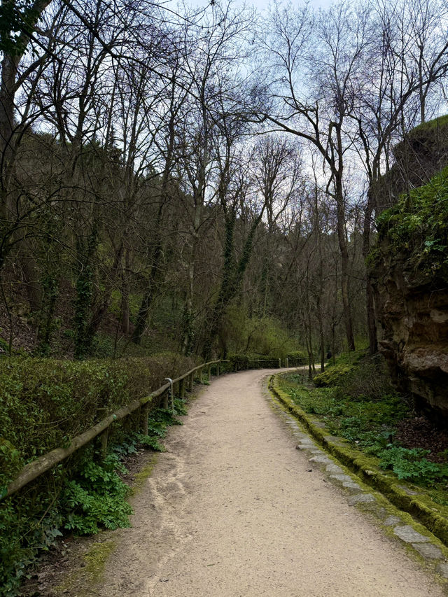 Explorer’s Path to the Castle