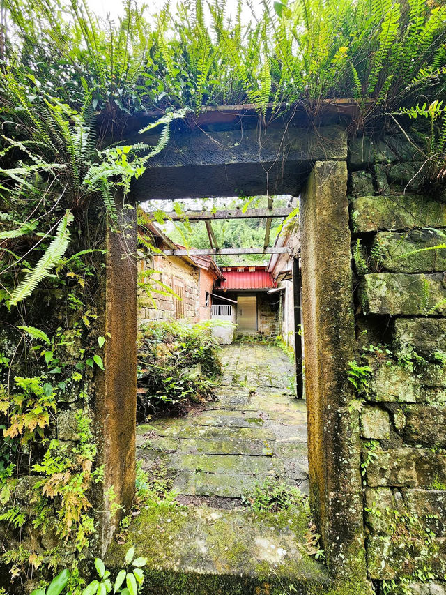 走讀姜子寮聚落及森林療癒步道～絕壁步道