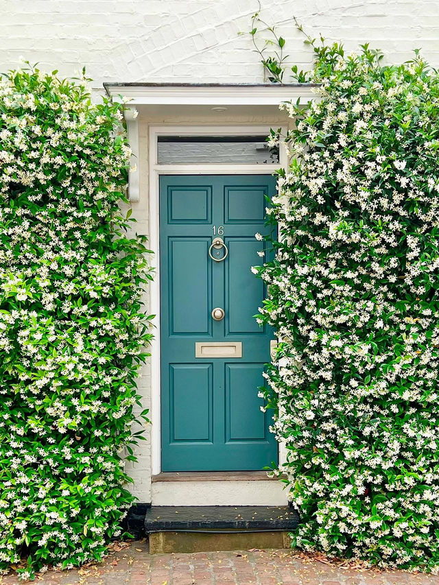 This is a spring jasmine 