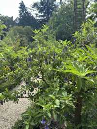 Trip to de Hortus 