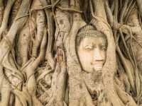 Discovering Ayutthaya: Thailand’s Ancient Capital Full of Timeless Wonders