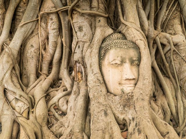 Discovering Ayutthaya: Thailand’s Ancient Capital Full of Timeless Wonders
