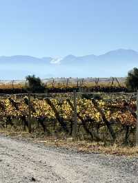 Why Horseback Riding in Mendoza Feels Like Galloping Through the Mediterranean