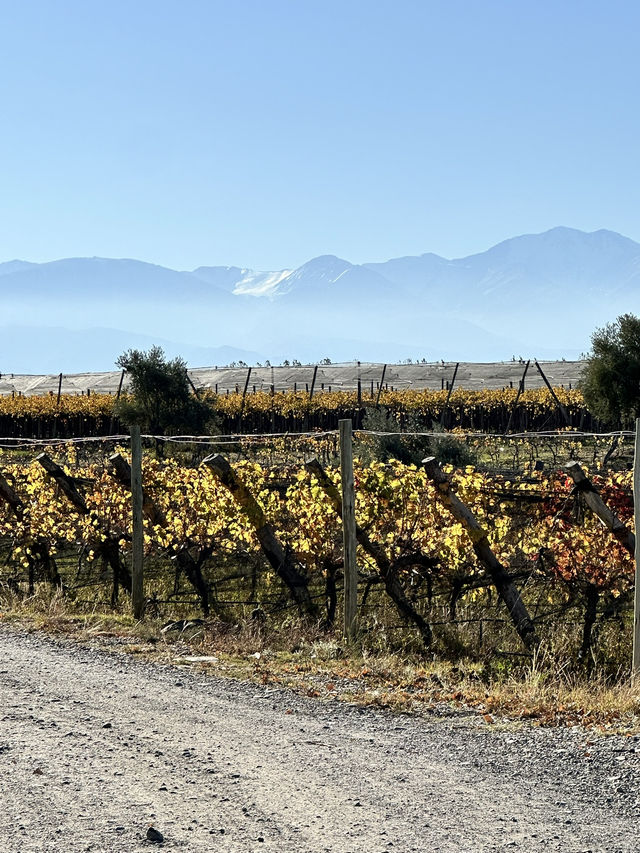 Why Horseback Riding in Mendoza Feels Like Galloping Through the Mediterranean