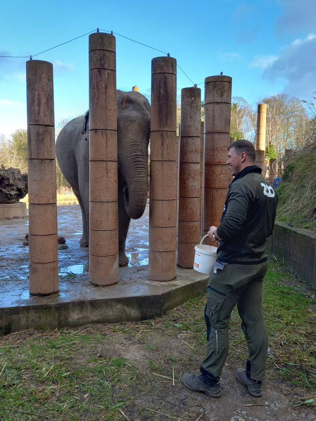 Copenhagen Zoo