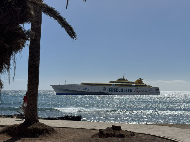 📍4 Days 3 Nights in Tenerife | Beaches, Paragliding, Whale Watching & Stargazing