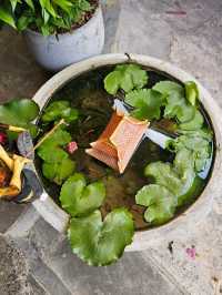 🍽️ Em Comfort Food – Your Cozy Culinary Hideaway in Hoi An
