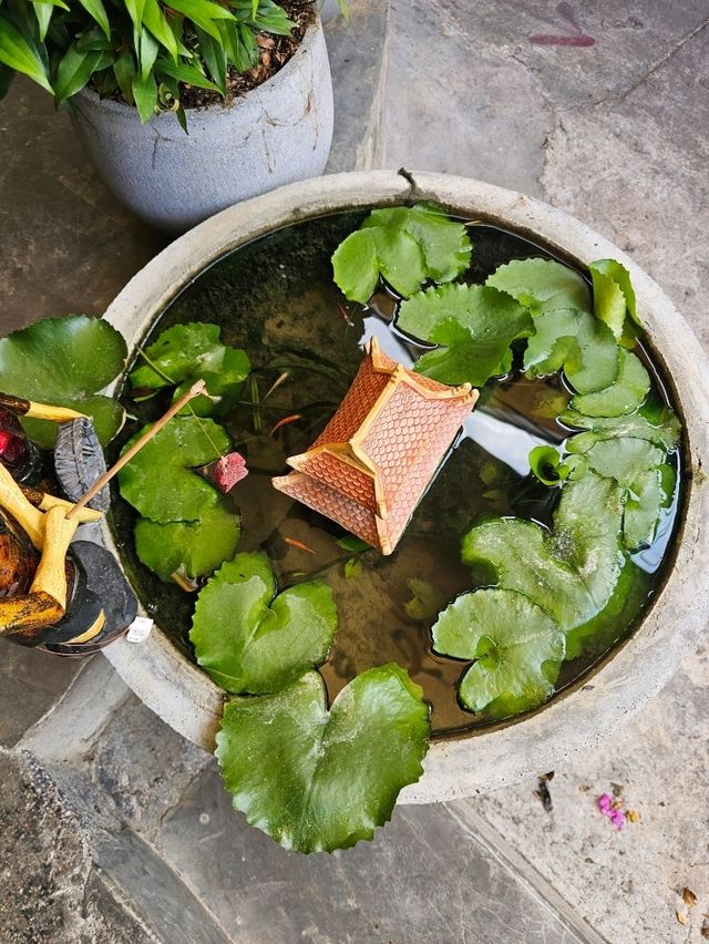 🍽️ Em Comfort Food – Your Cozy Culinary Hideaway in Hoi An