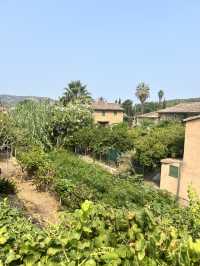 Day Trip from Palma to Soller 