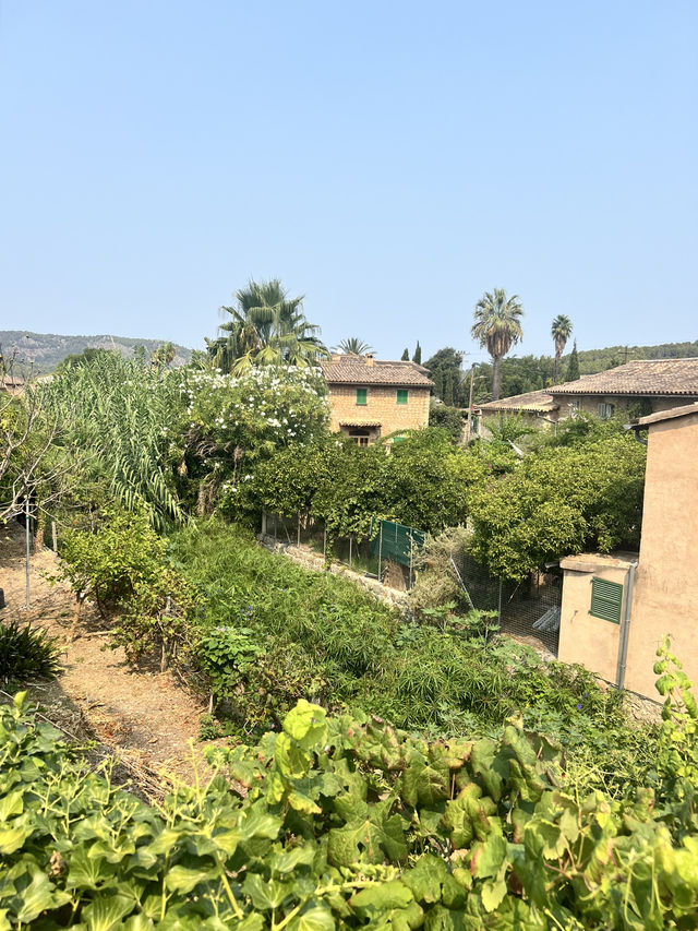 Day Trip from Palma to Soller 