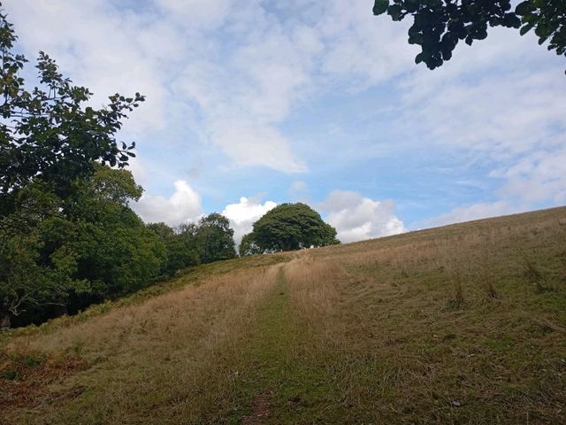 A walk to the summit of Tor y Foel starting in Talybont on Usk