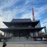Tokyo’s Hidden Corners: Discover the City Beyond the Crowds