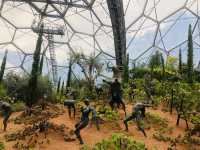 Eden Project Smokey Room…