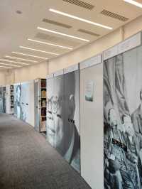 🏛️ Manchester Central Library: A Dome of Light and Layers of Knowledge