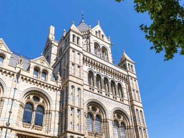 Top Attractions at the Natural History Museum, London 🦕