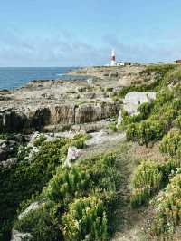Bournemouth to Portland: A Rugged Coastal Escape