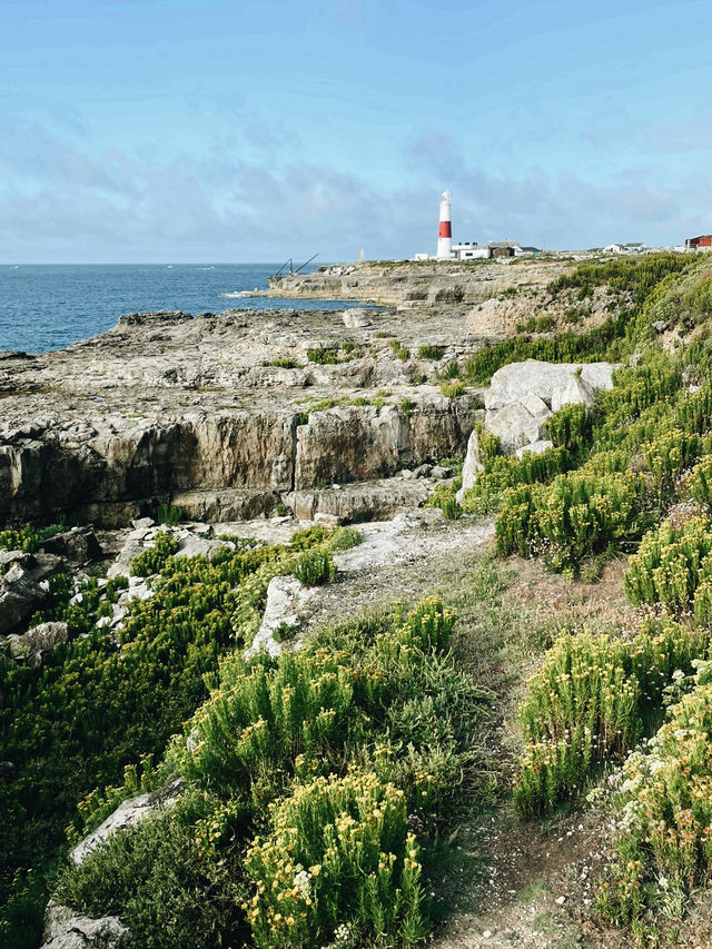 Bournemouth to Portland: A Rugged Coastal Escape