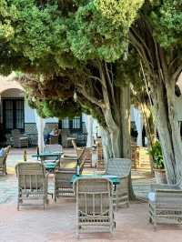 Hotel That Feels Like a Story
