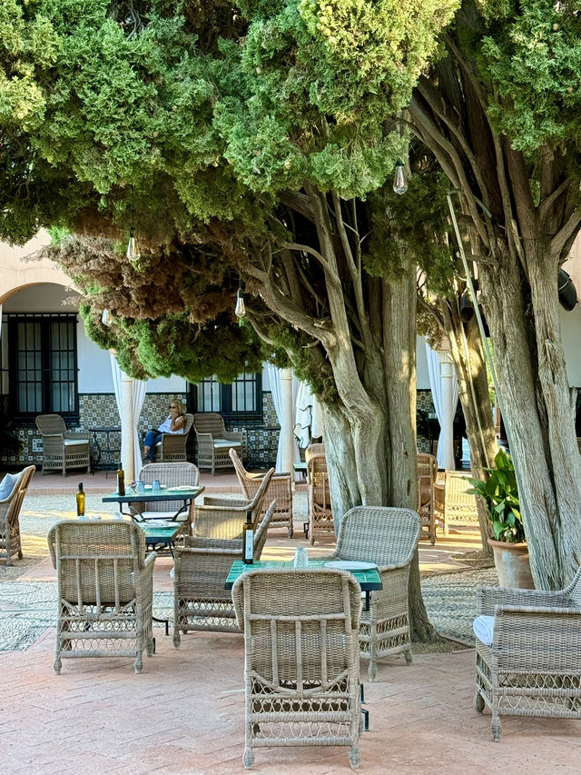 Hotel That Feels Like a Story