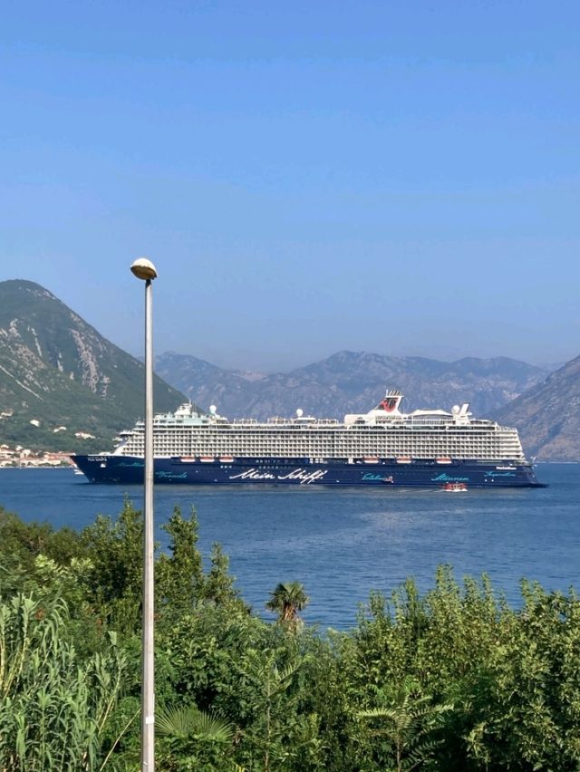 Cruise the Bay of Kotor ⛵