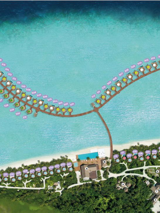 Mercure Kooddoo Maldives — Where Simplicity Meets Soul Mercure Kooddoo Maldives — Where Simplicity Meets Soul