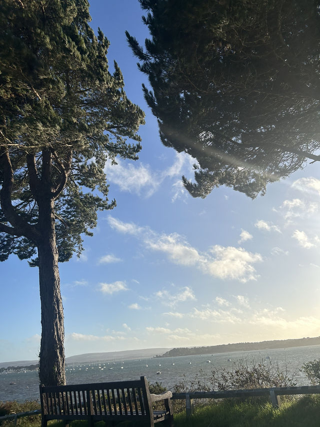Poole cafe