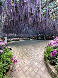 Flower Dreamscape🌸