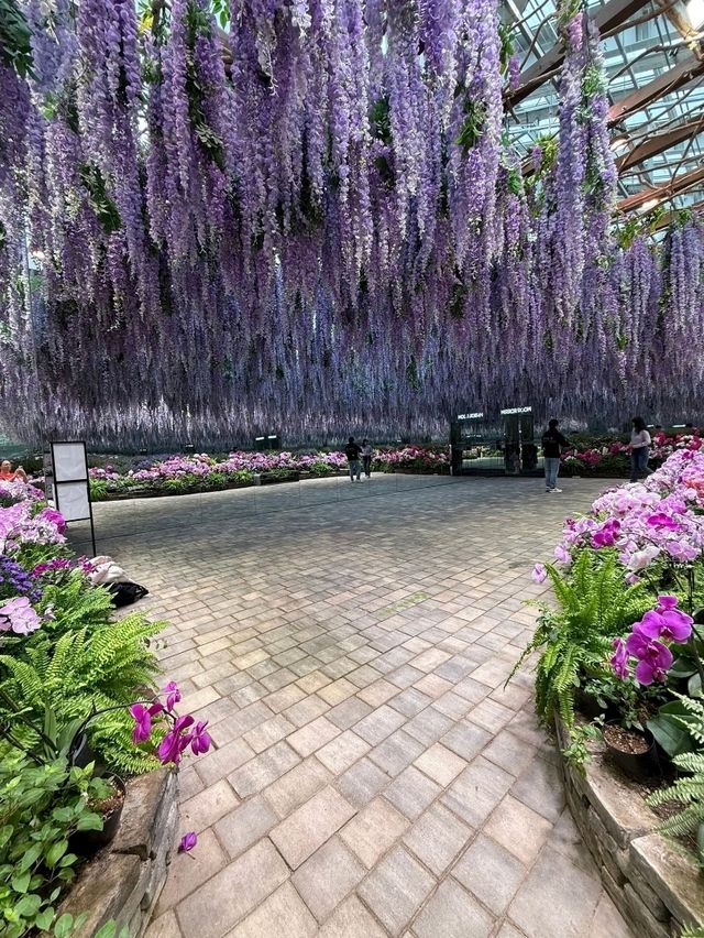 Flower Dreamscape🌸