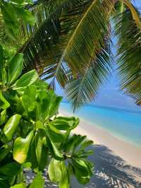 Maldives 🇲🇻 — Where Beauty Meets Opportunity